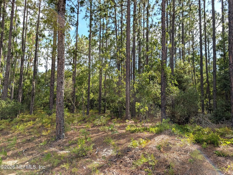 7676 Los Padres Ave, Keystone Heights, FL 32656