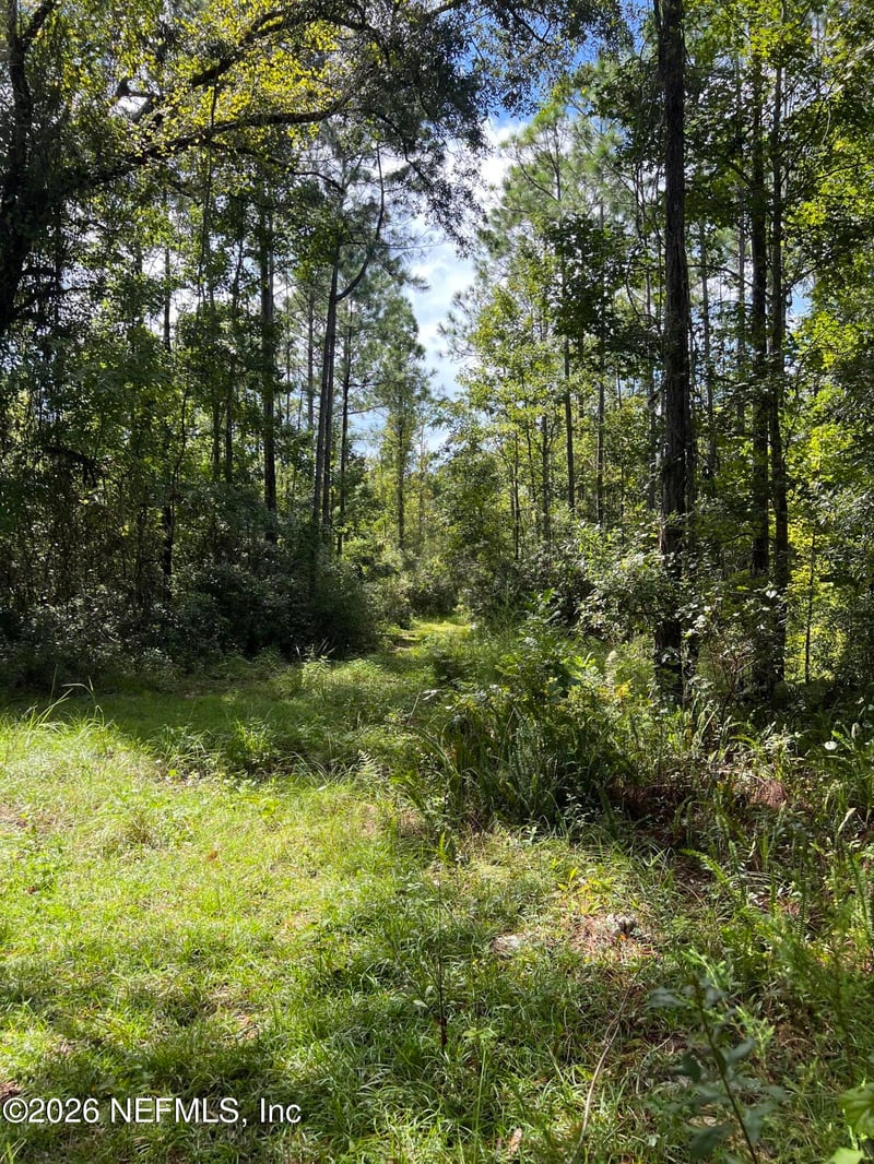 8000 County Road 13 N, St Augustine, FL 32092