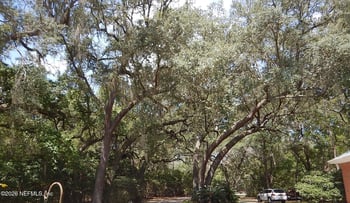 8315 Lilly Lake Rd, Melrose, FL 32666
