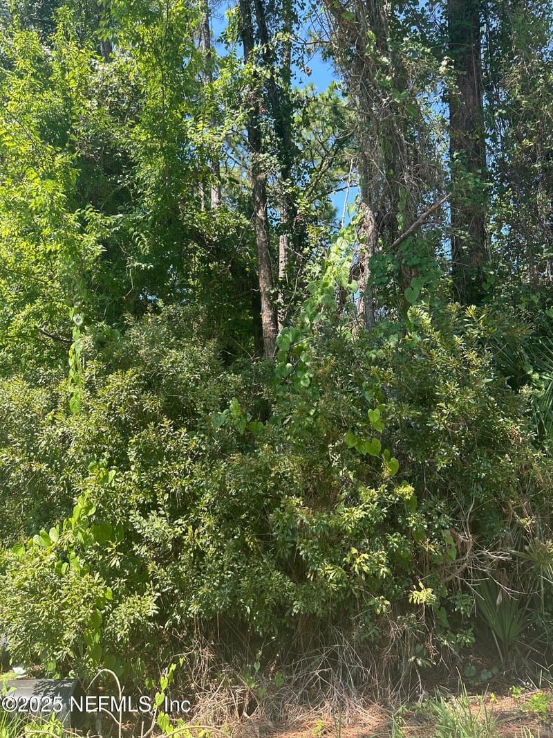 866 W 9th St, St Augustine, FL 32084
