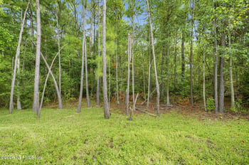 911 Colon Ln, Jacksonville, FL 32218