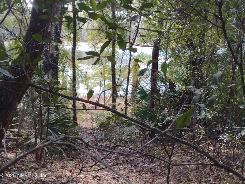 93 Tucker Lake Rd, Melrose, FL 32666