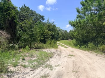 954 Mclaughlin Ln, Middleburg, FL 32068