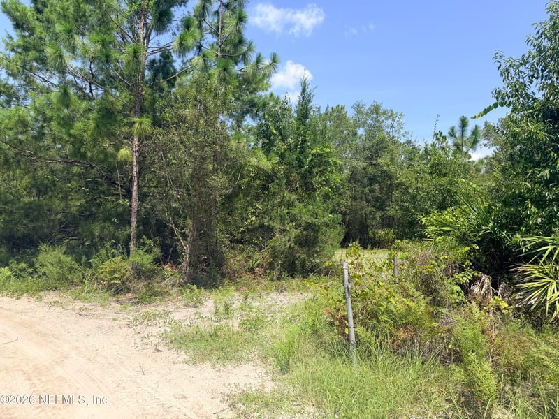 954 Mclaughlin Ln, Middleburg, FL 32068