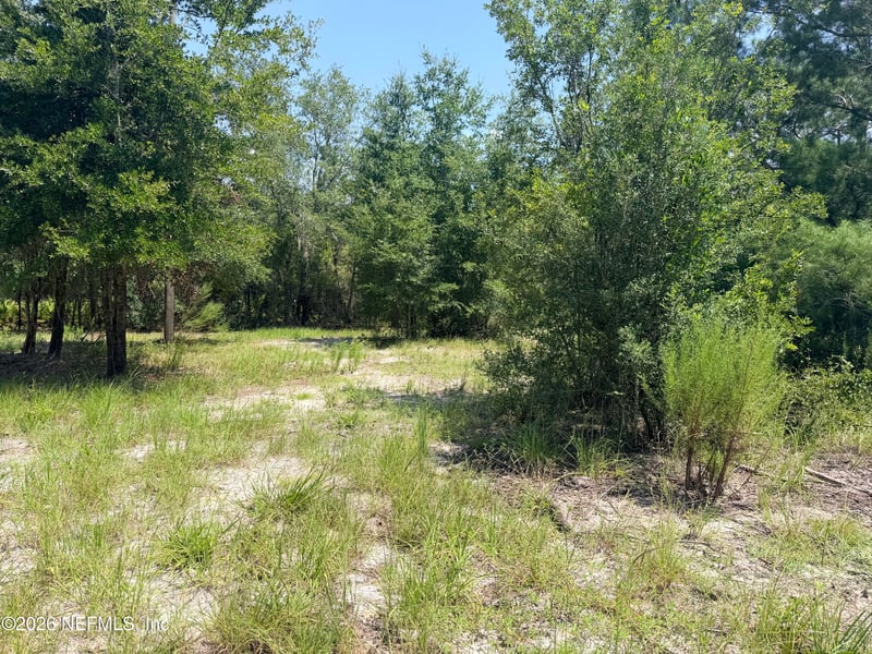 954 Mclaughlin Ln, Middleburg, FL 32068