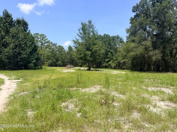 954 Mclaughlin Ln, Middleburg, FL 32068
