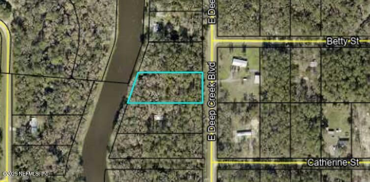 9645 E Deep Creek Blvd, Hastings, FL 32145