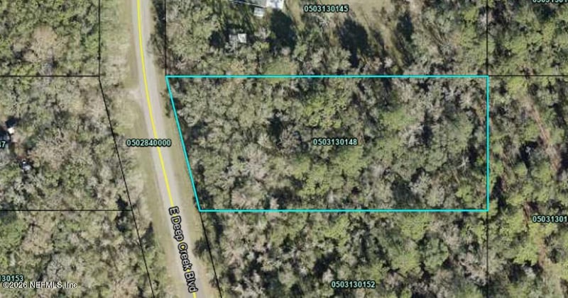 9770 E Deep Creek Blvd, Hastings, FL 32145