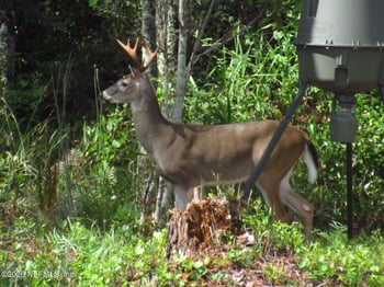 9910 W State Road 100, Starke, FL 32091