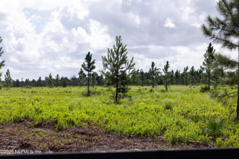 LOT 1 Davis Rd, Hilliard, FL 32046