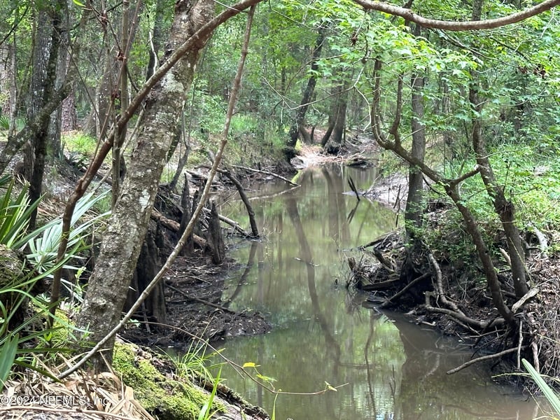 LOT 1 Us Hwy 301, Bryceville, FL 32209