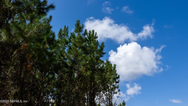 LOT 14 SW County Road 225, Starke, FL 32091
