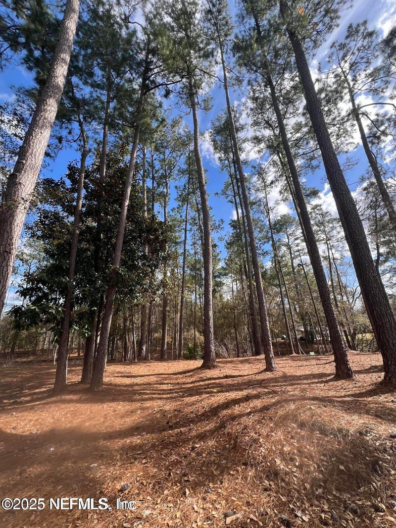 LOT 36 37 SW 162nd Ter, Starke, FL 32091