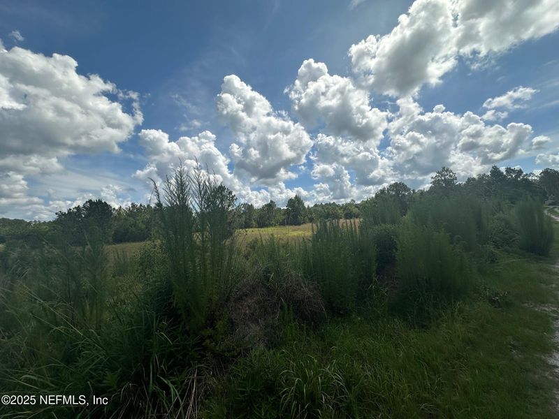 LOT 4 - 5 SE 150th St, Starke, FL 32091