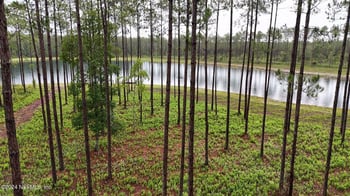 LOT 5 NE Us Hwy 301, Jacksonville, FL 32234