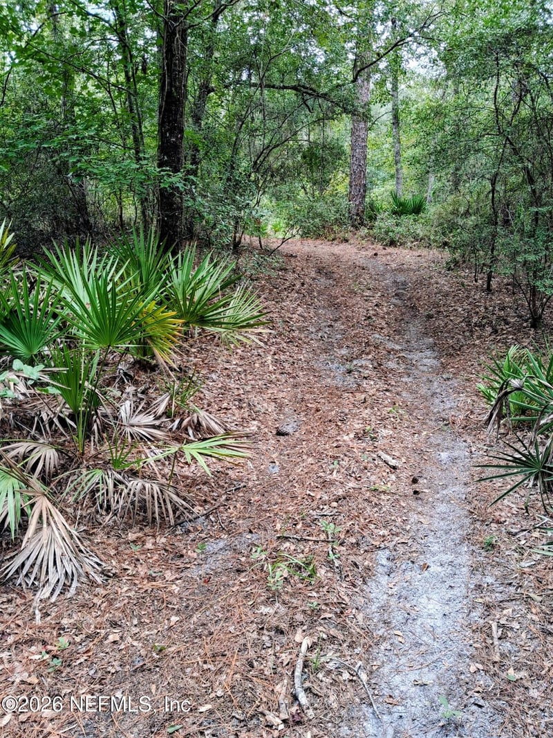 LOT 9 Skipper Rd, Middleburg, FL 32068