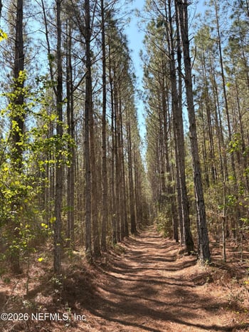 O Lazy Pines Rd, Glen St Mary, FL 32040