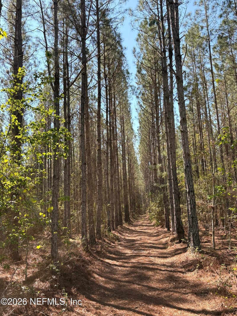 O Lazy Pines Rd, Glen St Mary, FL 32040