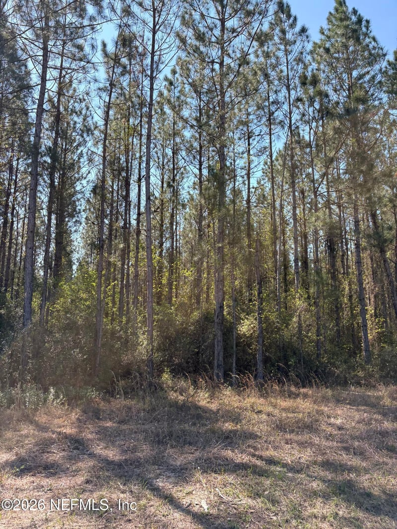 O Lazy Pines Rd, Glen St Mary, FL 32040