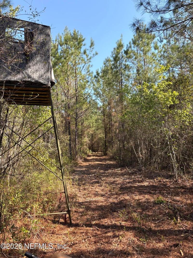 O Lazy Pines Rd, Glen St Mary, FL 32040