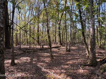 O Lazy Pines Rd, Glen St Mary, FL 32040