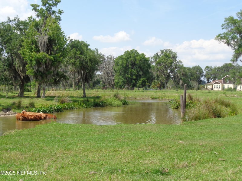 TBD Barrel Factory Rd, Hastings, FL 32145