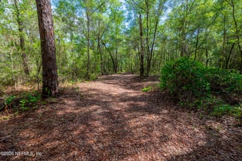 TBD LOT67 SE 1st Ave, Keystone Heights, FL 32656