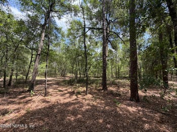 TBD LOT67 SE 1st Ave, Keystone Heights, FL 32656