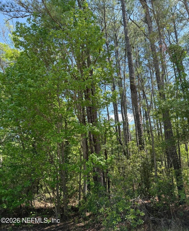 TBD NE 20th Ln, Lawtey, FL 32058