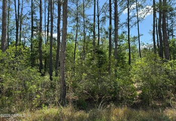 TBD NE 20th Ln, Lawtey, FL 32058
