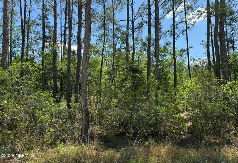 TBD NE 20th Ln, Lawtey, FL 32058