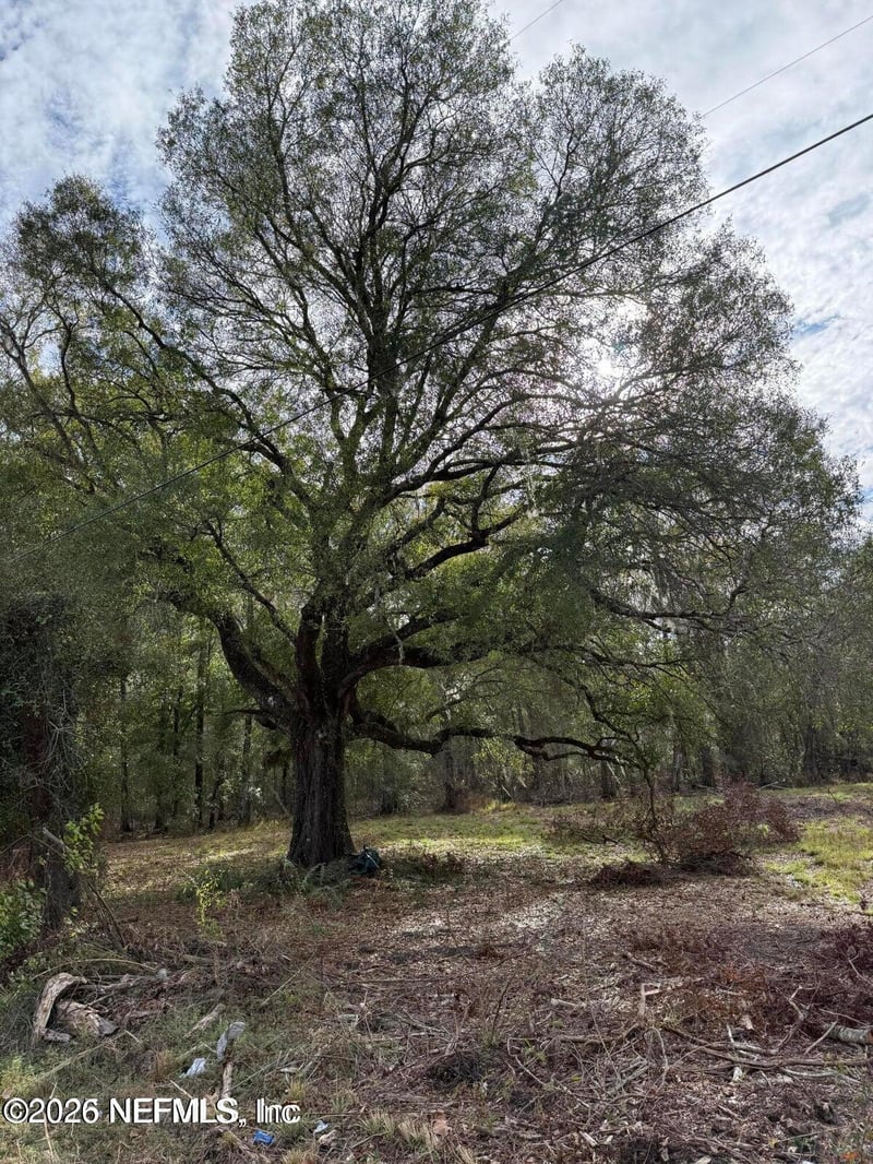 TBD NW Sr 16, Starke, FL 32091