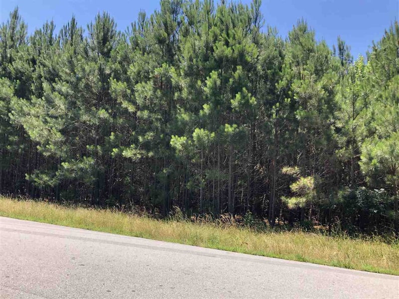 0-0 Mt Zion Church Rd Lot 2, Apex, NC 27502