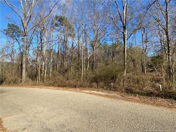 0 26 5 Acres Mcintyre Land, Fayetteville, NC 28301