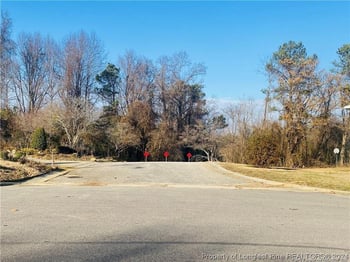 26 5 Acres Mcintyre Land, Fayetteville, NC 28301