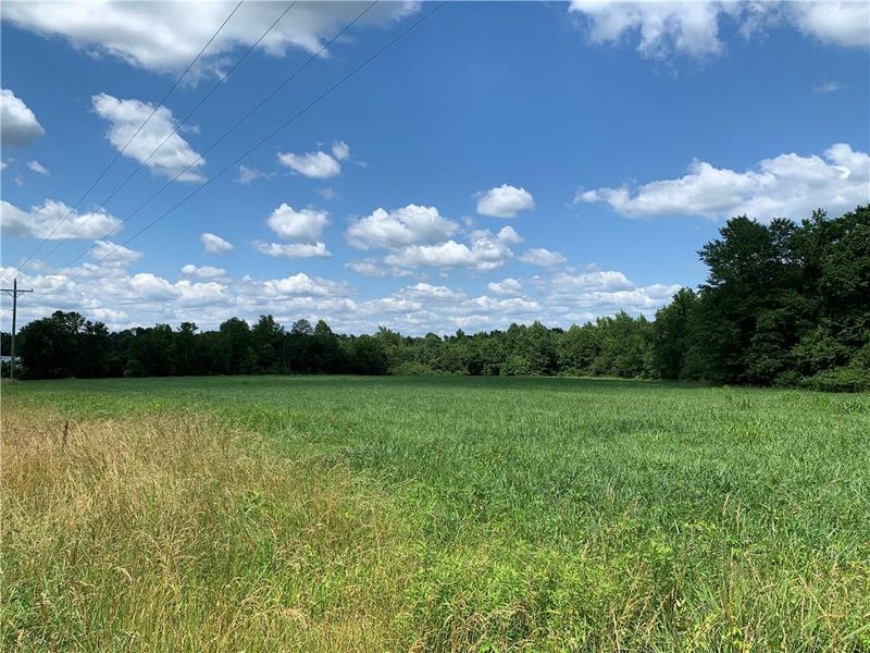 0 Alamance County Line Rd, Liberty, NC 27298