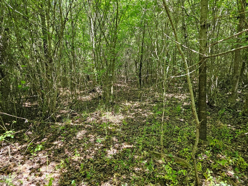 0 Alert Rd, Louisburg, NC 27549
