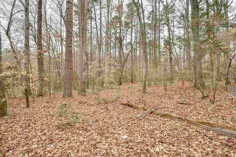 0 Andrews Store Rd, Pittsboro, NC 27312