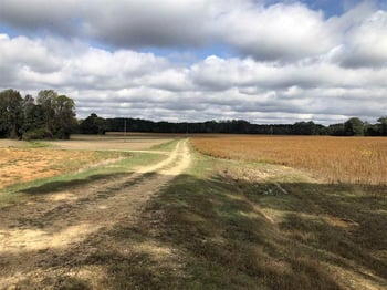 Arlie Ln Lot 3, Lillington, NC 27546