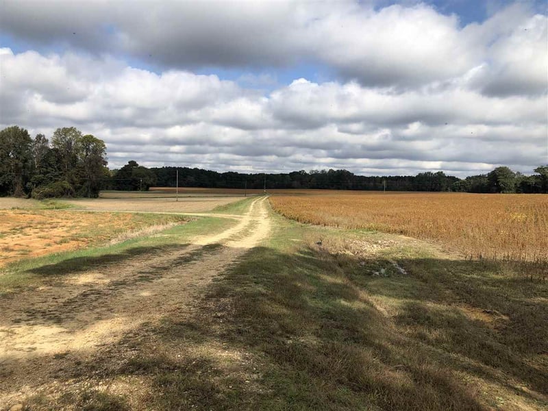 Arlie Ln Lot 3, Lillington, NC 27546