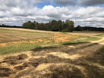 Arlie Ln Lot 3, Lillington, NC 27546