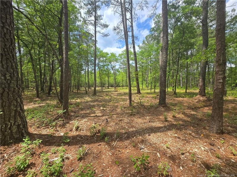 0 Avery Rd, Fayetteville, NC 28312