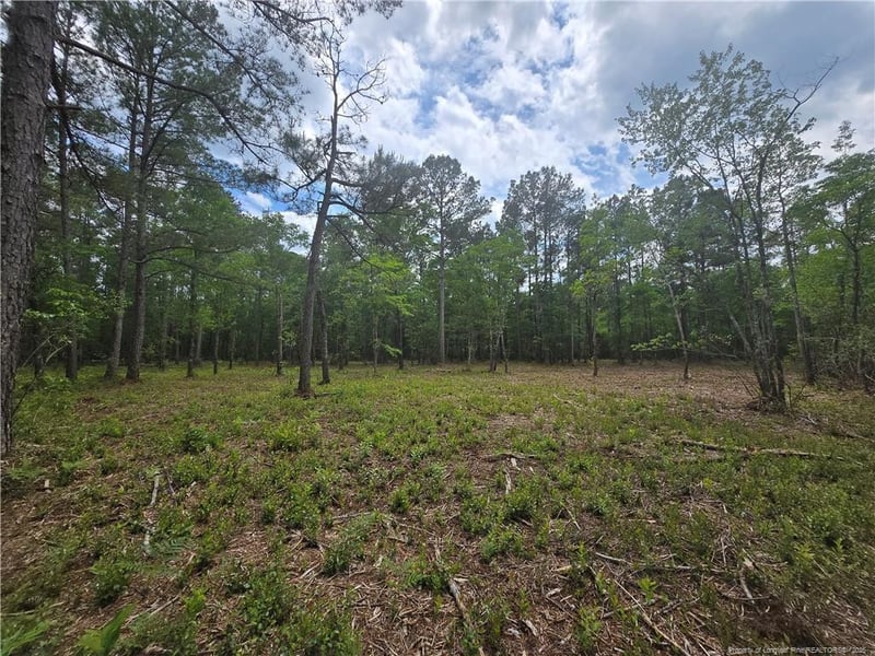 0 Avery Rd, Fayetteville, NC 28312