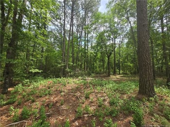 0 Avery Rd, Fayetteville, NC 28312