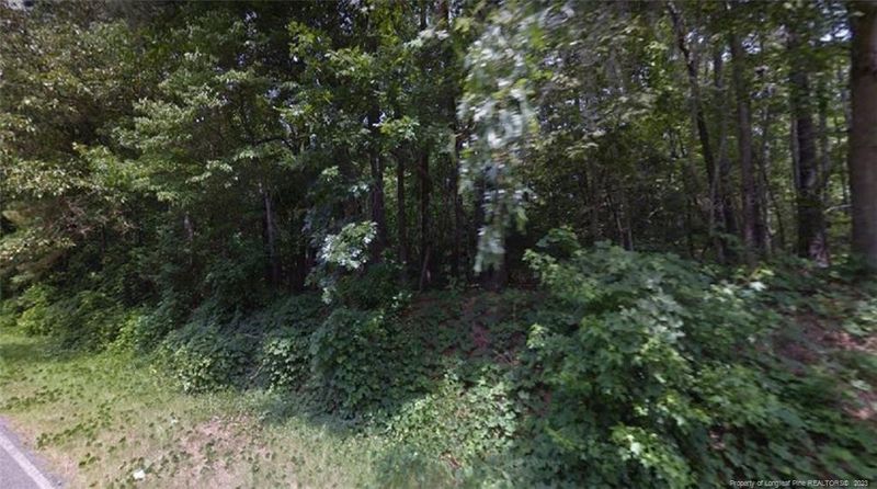 0 Bailey Thomas Rd, Sanford, NC 27332