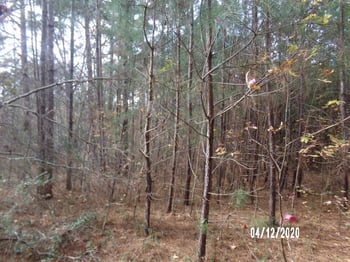 Bakers Al, Apex, NC 27539