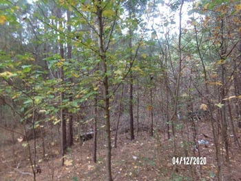 Bakers Al, Apex, NC 27539