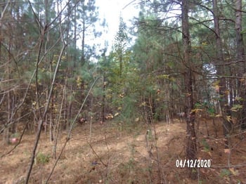 Bakers Al, Apex, NC 27539