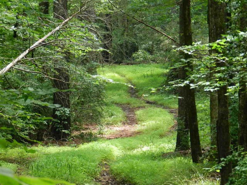 0 Baldwins Ford Rd Lot 15B, Chapel Hill, NC 27516