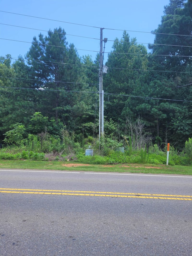 0 Bass Lake Rd, Holly Springs, NC 27540
